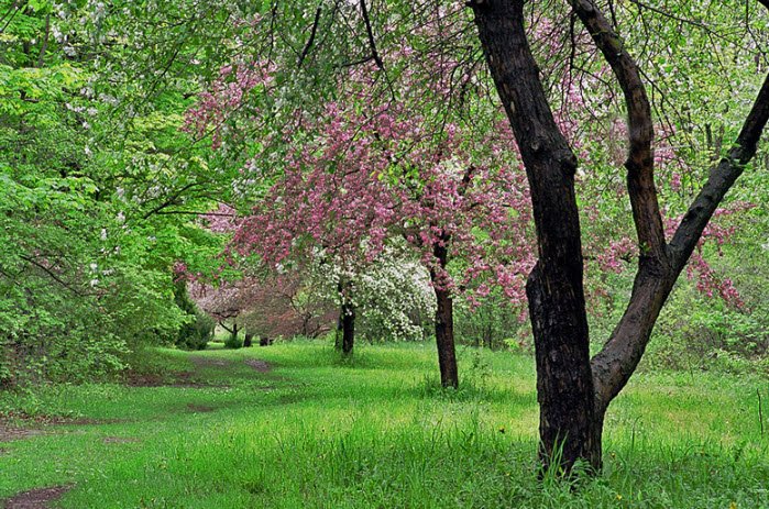 Morgan Arboretum, Sainte-Anne-de-Bellevue, Quebec, Canada, Canada
